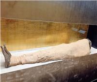 وزيري: أقدم مومياء ملكية في التاريخ بمتحف إيمحتب بسقارة | فيديو