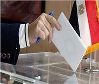 إغلاق صناديق الاقتراع بالانتخابات الرئاسية بسفارة مصر في الجزائر