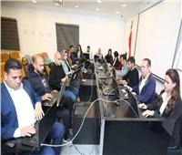 «عمليات التنسيقية»: انتهاء تصويت المصريين بالخارج.. والجاليات أبهرت العالم