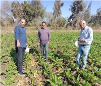 «زراعة المنوفية»: توزيع 8 آلاف و235 طن أسمدة على المزارعين 