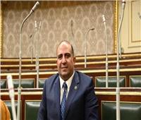 برلمانى : المصريون سيبعثون برسالة حاسمة للعالم بدعمهم للرئيس السيسى فى الانتخابات الرئاسية‎