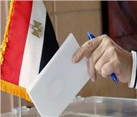 الوطنية للانتخابات: تسليم كافة أوراق العملية الانتخابية إلى جميع اللجان الفرعية