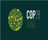 رئيس COP28: مجموعة عمل التمويل المُستدام تدعم استراتيجية الإمارات للحياد المُناخي