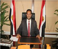 «مصر ٢٠٠٠» و«مجلس القبائل»: المرشح عبد الفتاح السيسي جعل قرارنا السياسي مستقلا وإرادتنا حرة