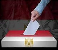 شباب المصريين بالخارج يدعون ذويهم للمشاركة الإيجابية في انتخابات الرئاسة‎