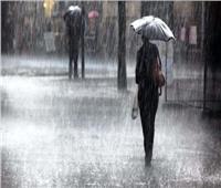 «عواصف رعدية وأمطار غزيرة» .. الهيئة العامة للأرصاد تُحذر من تقلبات الطقس 