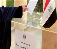 الوطنية للانتخابات: مصر الدولة الوحيدة التي تخضع الانتخابات فيها لإشراف قضائي الكامل