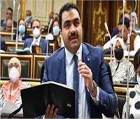 برلماني: المشاركة الكبيرة في الانتخابات الرئاسية تؤكد حرص المصريين على أمن وطنهم