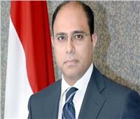 متحدث الخارجية: 14 منظمة عالمية وإقليمية تتابع الانتخابات الرئاسية في مصر