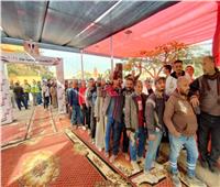 حشود المواطنين بالانتخابات الرئاسية تبهر الأفواج السياحية في أسوان