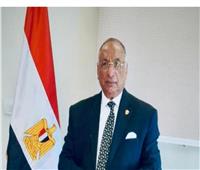 قضايا الدولة تهنئ الرئيس عبد الفتاح السيسي لفوزه في انتخابات الرئاسة