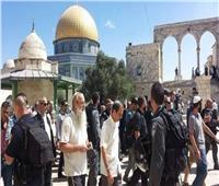 مستوطنون يقتحمون «المسجد الأقصى» بحماية شرطة الاحتلال الإسرائيلي