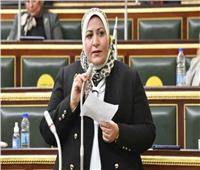 برلمانية: التحديات الخارجية والداخلية مستمرة بسبب موقع مصر الجيوسياسي