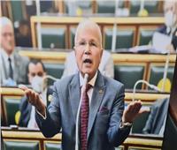 «برلماني»: المصريون جددوا ثقتهم فى الرئيس السيسي لقيادة البلاد‎