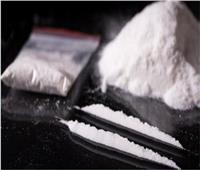 ضبط كميات من المخدرات بحوزة 4 عناصر إجرامية بالجيزة بمليون جنيه 
