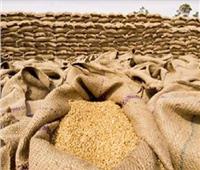 التموين: أزمات السلع مصطنعة.. ومخزون القمح يكفي 6 أشهر