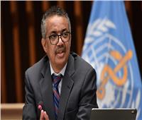 مدير منظمة الصحة العالمية يندد بالقضاء على النظام الصحي في غزة