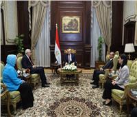 رئيس مجلس الشيوخ يستقبل السفير العراقي‎ بالقاهرة