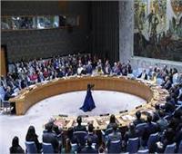 العربية لحقوق الإنسان: قرار مجلس الأمن لا يفي بضمان تدفق المساعدات لغزة