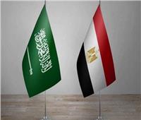 كيف ساهمت العلاقات «المصرية - السعودية» في حماية الأمن القومي العربي؟