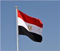 مصر ترحب ببدء تنفيذ تدابير إنشاء آلية متضمنة قرار مجلس الأمن لدخول المساعدات لغزة