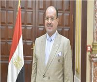 عضو الشيوخ: قمة مصر والأردن أكدت الرفض المشترك لخطط تهجير الفلسطينيين