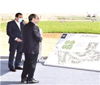 «الزراعة»: 50 ألف فدان زيادة في الرقعة عبر المشروع القومى لاستصلاح الأراضي