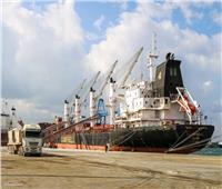 «ميناء دمياط» تستقبل 9 سفن محملة بـ 47856 طن بضائع