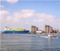 ميناء دمياط تستقبل 7 سفينة محملة بـ 47840 طن بضائع 
