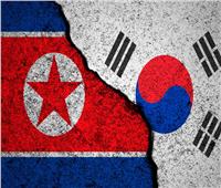 كوريا الجنوبية تعزز إجراءاتها الدفاعية لضرب طائرات جارتها الشمالية المسيّرة