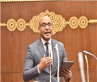 النائب علاء مصطفى يطالب بالتوسع في تطبيق خدمات «الرعاية الصحية عن بعد»