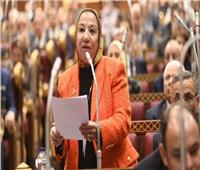 «نائبة بالشيوخ» توضح أهمية وثيقة التوجهات الاستراتيجية للاقتصاد المصري