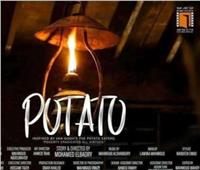 عرض «البطاطا» و«آية وأميرة» غدًا بنادي السينما المستقلة بالقاهرة 