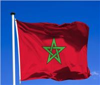 المرصد العربي لحقوق الإنسان: انتخاب المغرب للرئاسة تتويج لسجله الحافل بالإنجازات الحقوقية