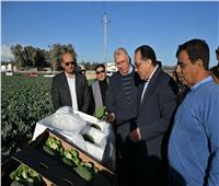 رئيس الوزراء يتفقد مزرعة شركة «عنبر» للصناعات الغذائية بالنوبارية