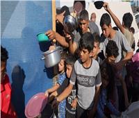غزة والشمال بحاجة إلى 1300 شاحنة غذاء يوميًا للخروج من حالة الجوع