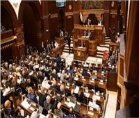 برلماني: إسرائيل لا تملك سندا واحدا عن مزاعمها بشأن مصر