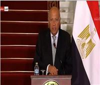 وزير الخارجية: العلاقات المصرية الصينية راسخة