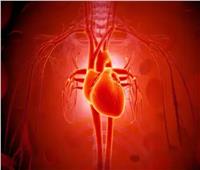 متلازمة القلب المكسور.. الأعراض و طرق الشفاء