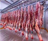 أسعار اللحوم الحمراء اليوم الثلاثاء 16 يناير