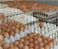 أسعار البيض في الأسواق اليوم 16 يناير