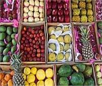 استقرار أسعار الفاكهة بسوق العبور اليوم 19 يناير