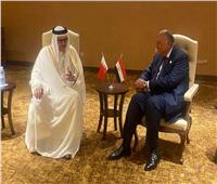 وزير الخارجية ونظيره البحريني يؤكدان على ضرورة وقف إطلاق النار في غزة