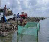 تنمية البحيرات يدعم مريوط بإلقاء 1.2 مليون زريعة لزيادة الإنتاج السمكي