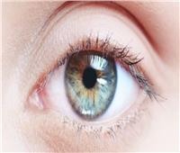 5 نصائح أساسية للحفاظ على صحة عينيك خلال فصل الشتاء