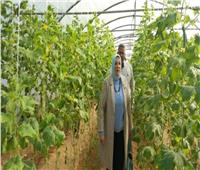 جامعة العريش تتبنى نموذجا لتطوير الزراعة المستدامة واستغلال الموارد الطبيعية 