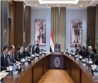  رئيس الوزراء يعقد اجتماعًا بشأن تشكيل المجلس الوطني لتوطين التكنولوجيا