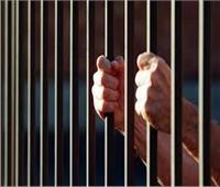 جنايات الإسكندرية تقضي بالسجن المؤبد على عاطل بتهمة قتل زوجته 