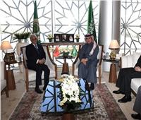 مندوب السعودية الدائم لدى الجامعة العربية يستقبل نظيره المغربي