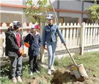 التشجير فكر وثقافة| زراعة ٣٠٠ شجرة مثمرة بعدد من مدارس القاهرة